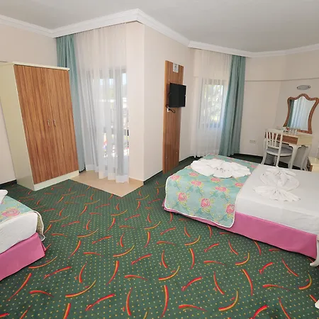 ホテル Pelin フェティエ