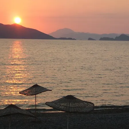 Pelin ホテル フェティエ